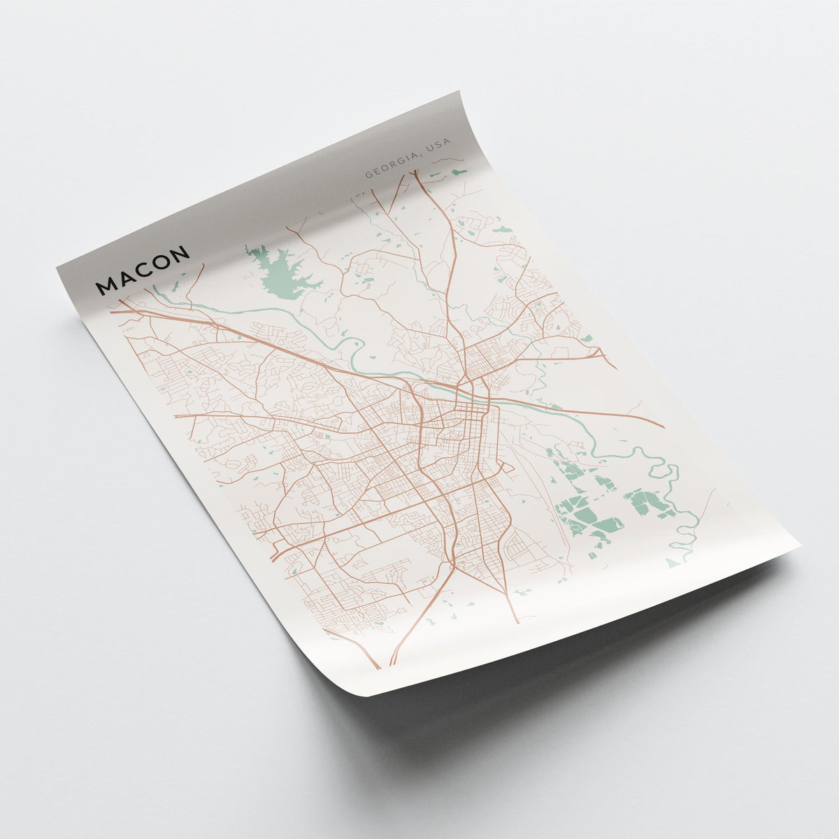 macon, georgia map poster - image 4