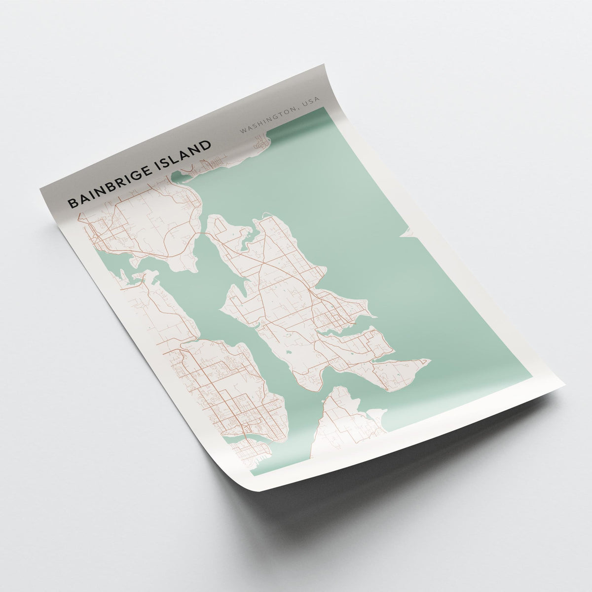 bainbridge island, washington map poster - image 4