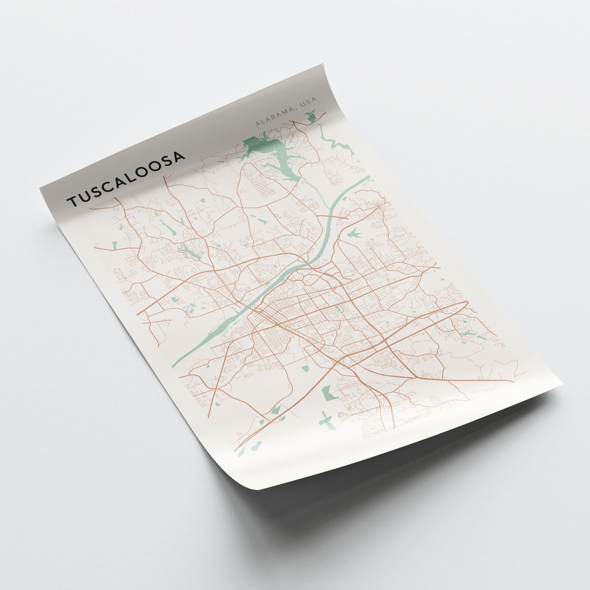 tuscaloosa, alabama map poster - image 4