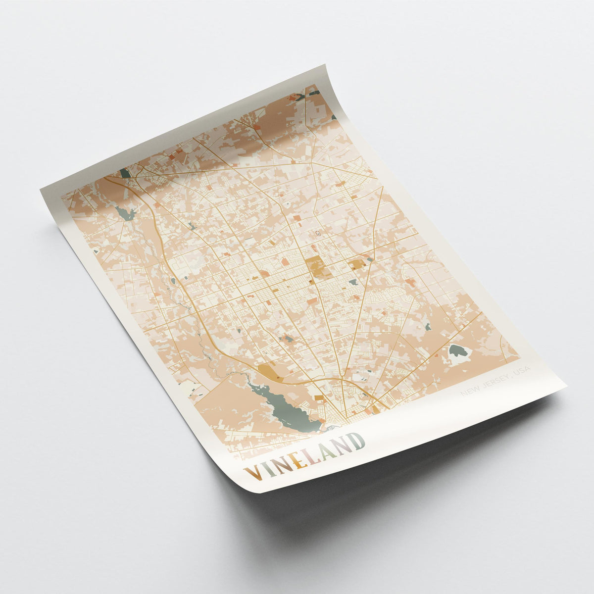 vineland, new jersey map poster - image 4