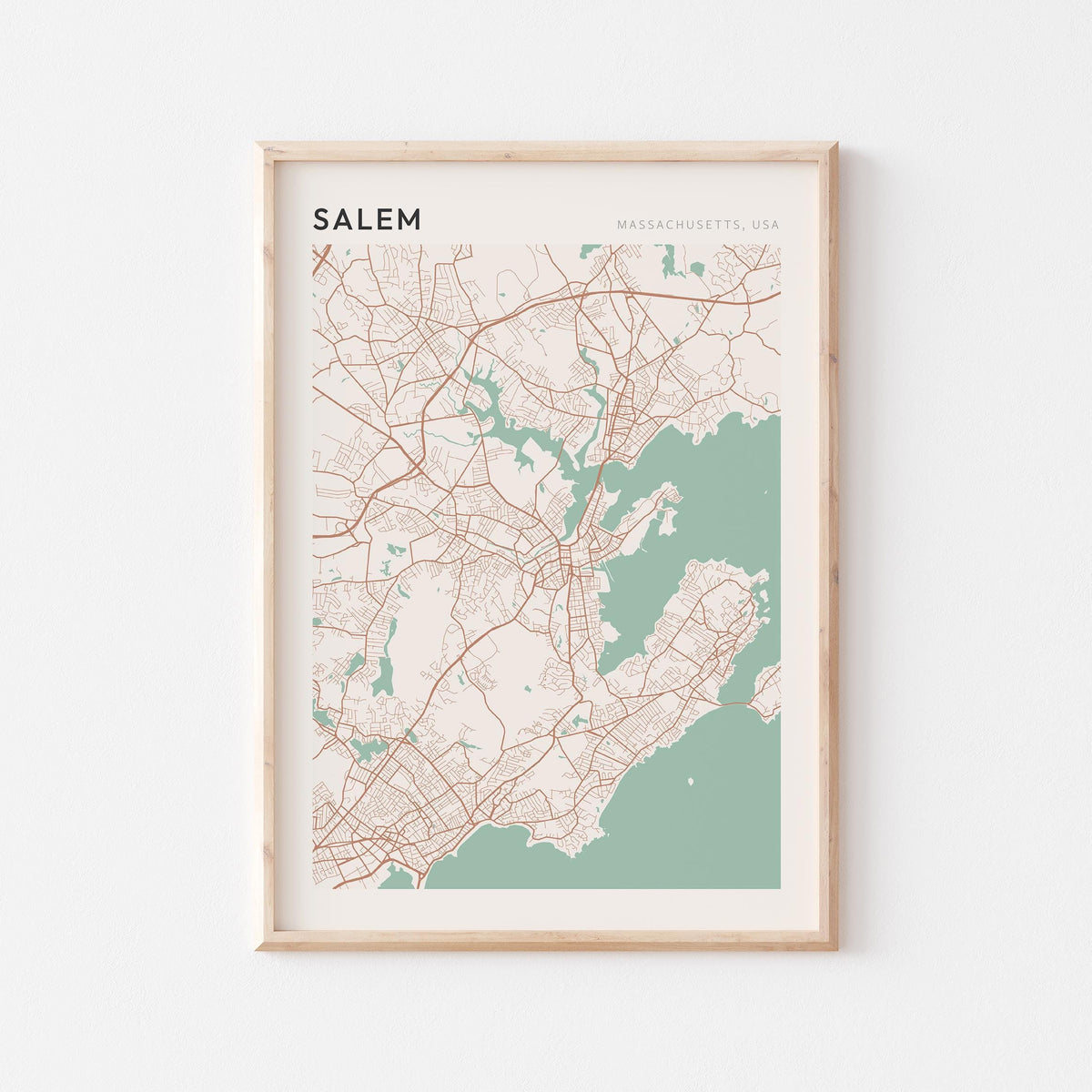 salem, massachusetts map poster - image 1