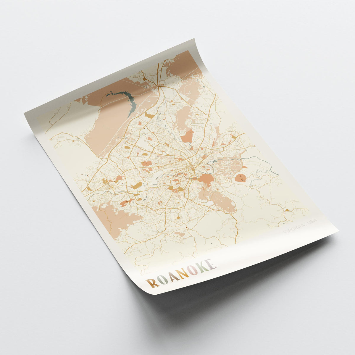 roanoke, virginia map poster - image 4