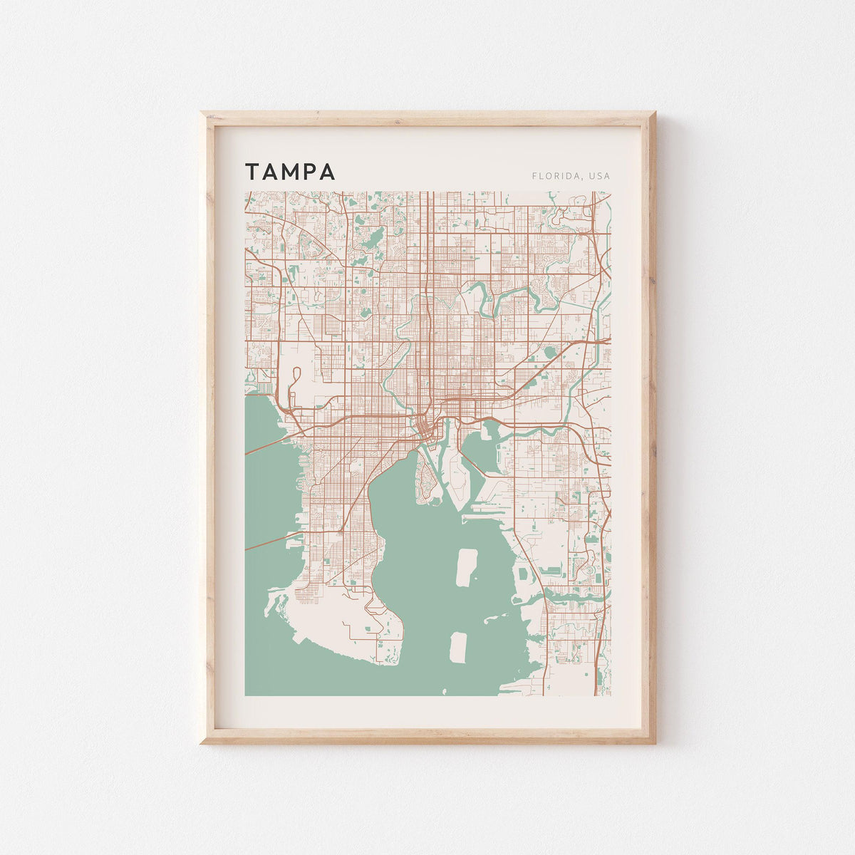tampa, florida map poster - image 1