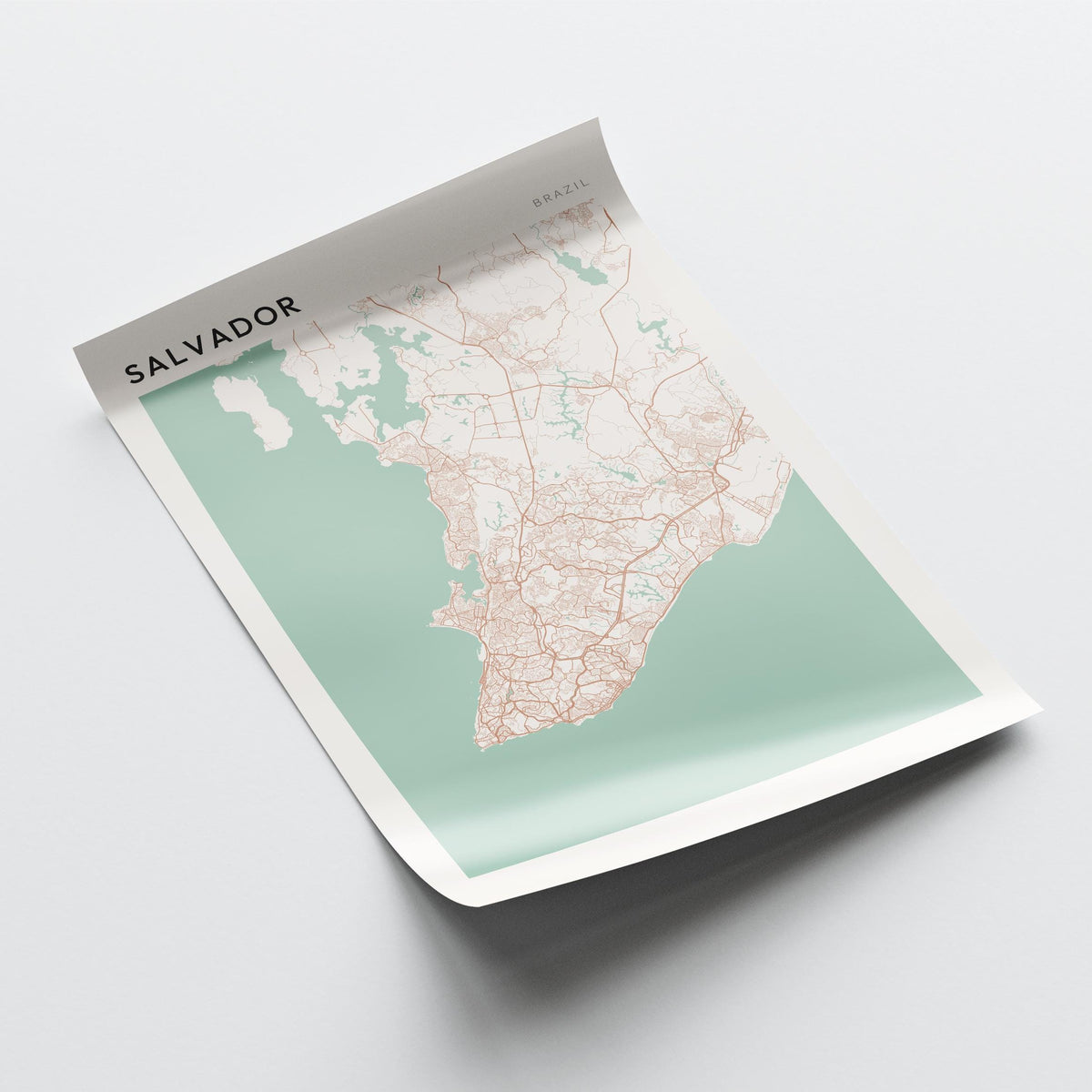 salvador, brazil map poster - image 4