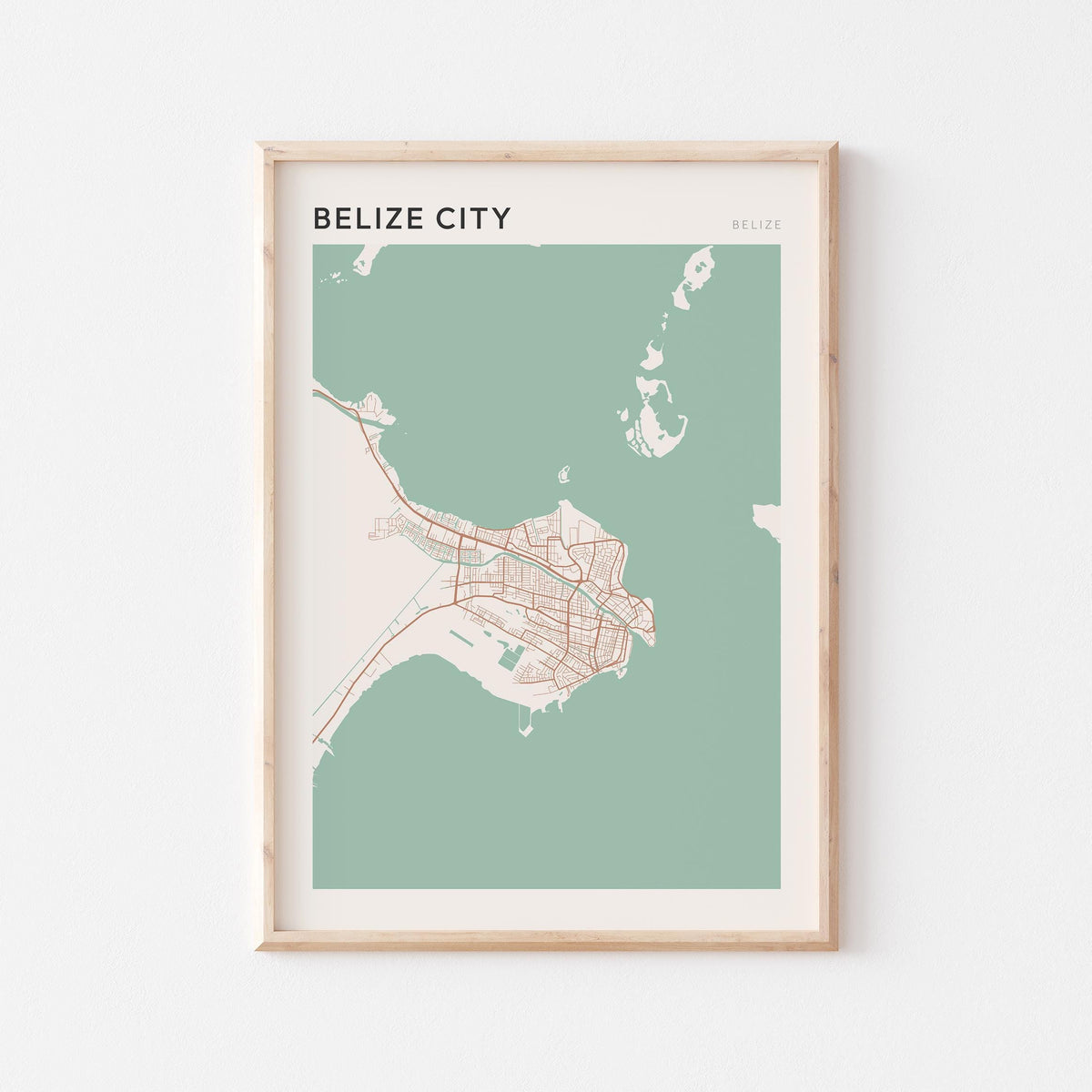 belize city, belize map poster - image 1