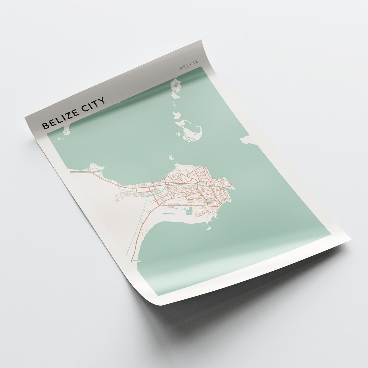 belize city, belize map poster - image 4