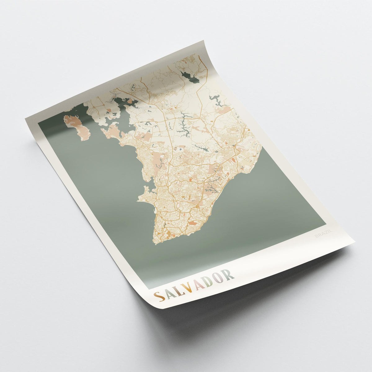 salvador, brazil map poster - image 4