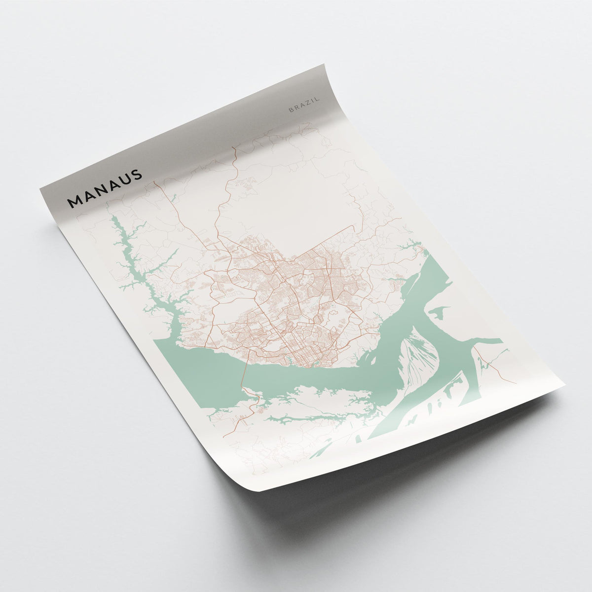 manaus, brazil map poster - image 4