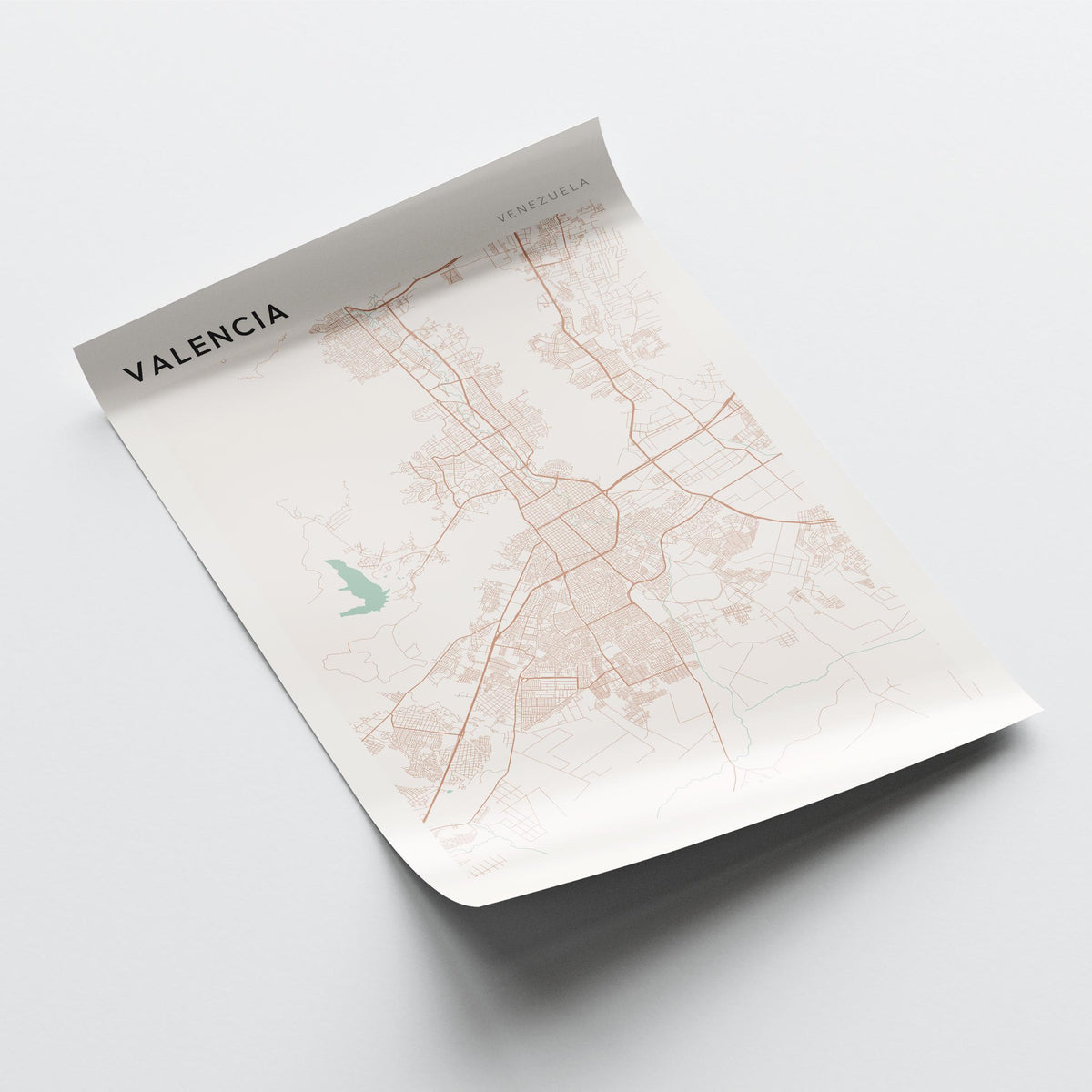 valencia, venezuela map poster - image 4