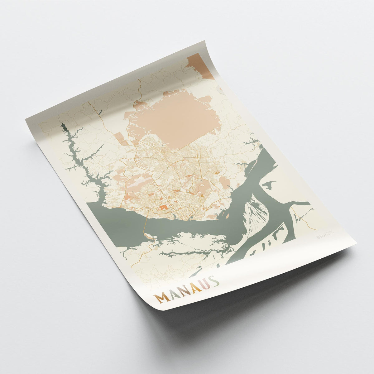 manaus, brazil map poster - image 4