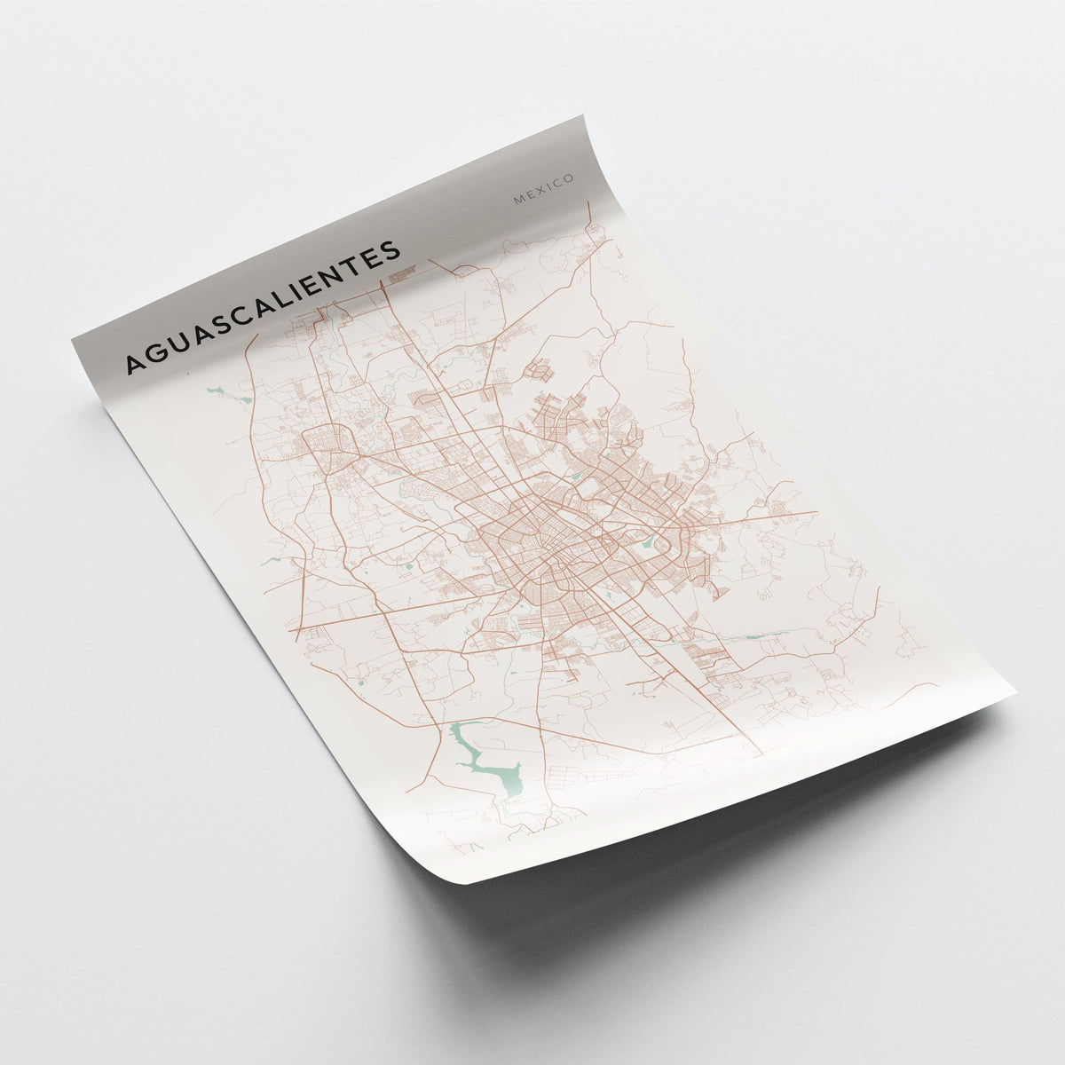 aguascalientes, mexico map poster - image 4