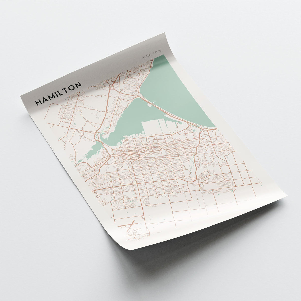 hamilton, ontario map poster - image 3