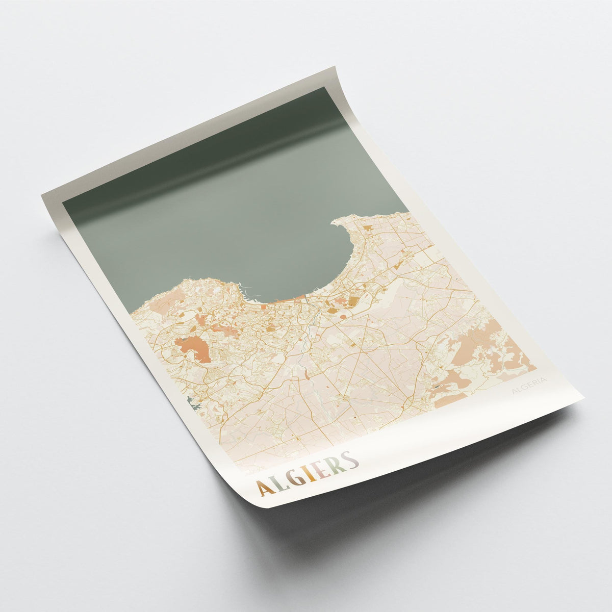 algiers, algeria map poster - image 4