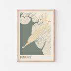 conakry, guinea map poster - image 1
